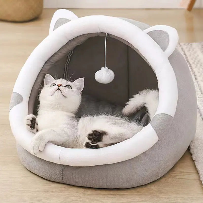 Cuddle Oasis